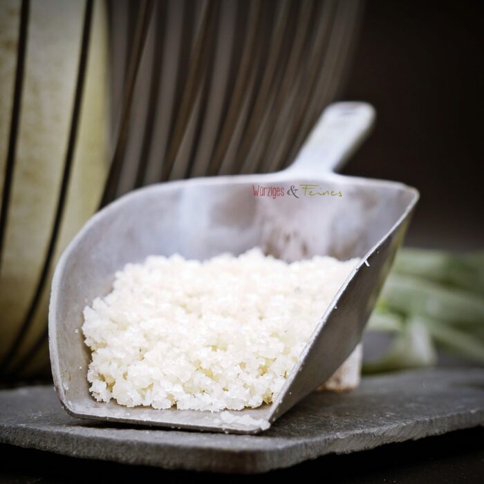 Gros Sel de Guérande - 100g